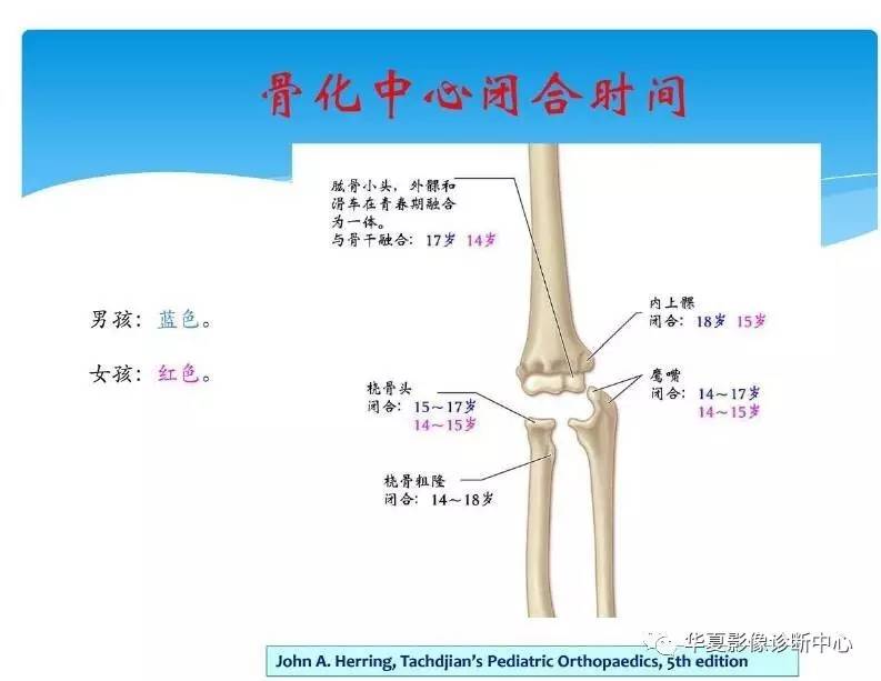 儿童肘关节骨化中心生理及变异