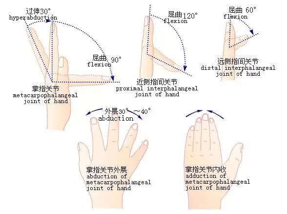 关节活动度记录方法-中立位零度法