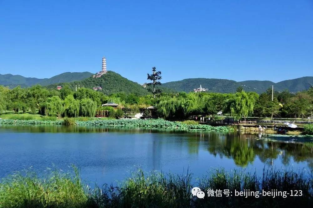 震惊!北京居然还有这样风景别致的免费公园!