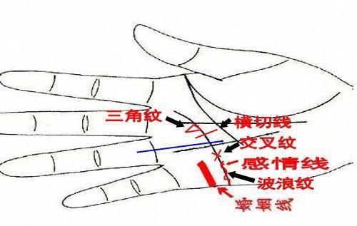 手相看你婚后稳定幸福与否?