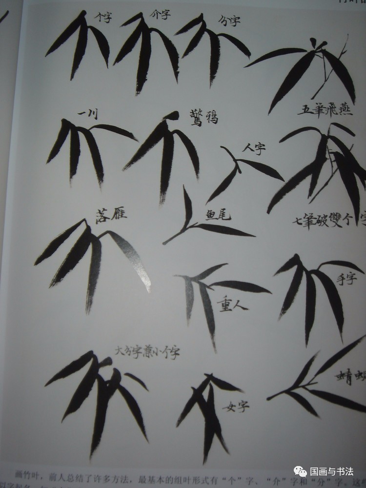 【国画教程】中国画竹子的各种画法