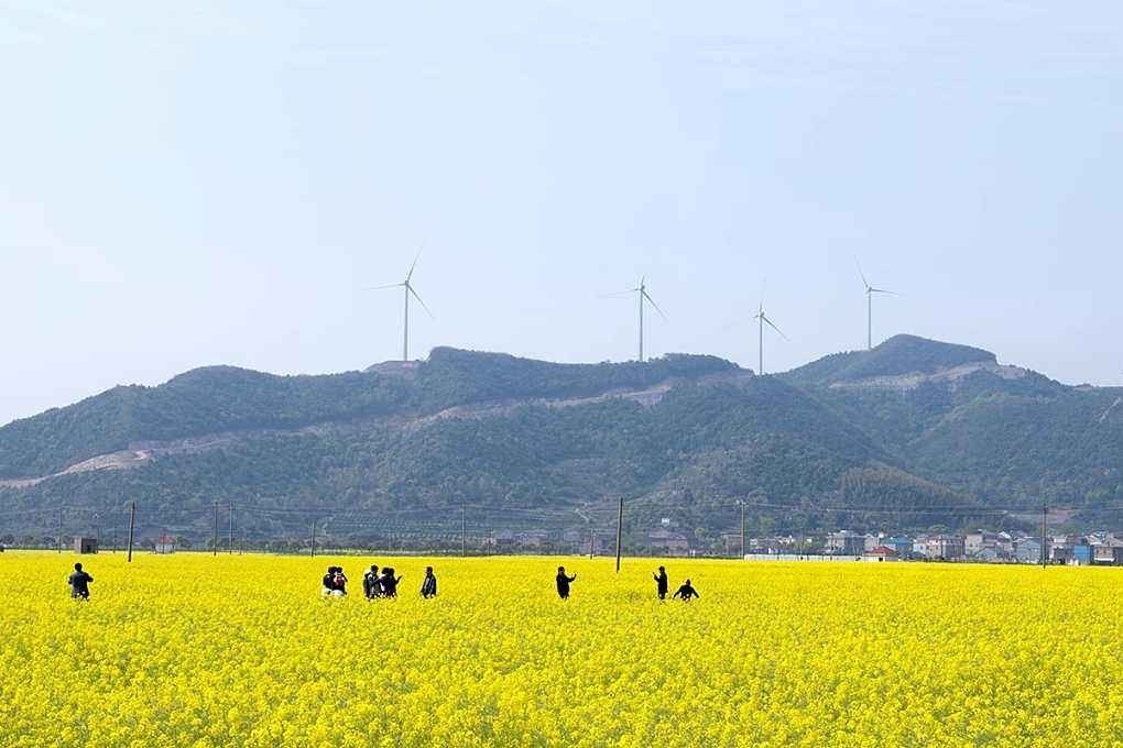 今天,一张黄图刷爆象山人的朋友圈