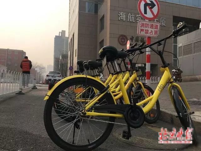 ofo共享单车老总_ofo共享单车