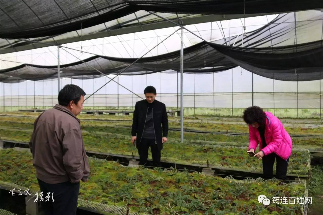 筠连县有多少人口_...孤寡老人 宜宾筠连水泥公司新年慰问驻地敬老院(3)