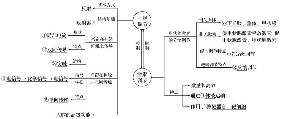 高考二轮 | 专题3 稳态与环境