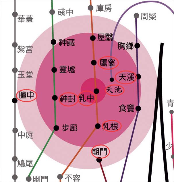 【每日健康】胸部按摩的正确方法,你和你的家人很需要