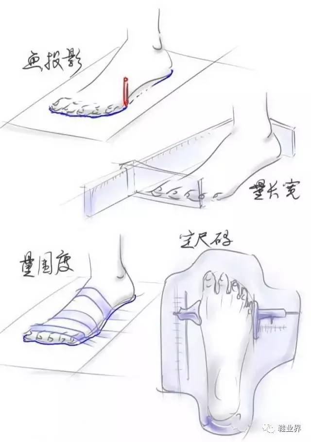 (跖围最重要)2. 量长度和前掌宽1.