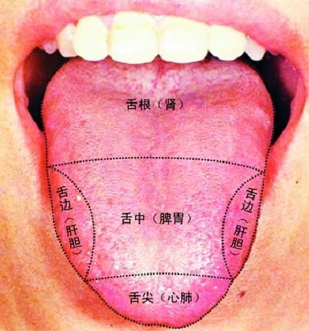 com还略带黑色,伴有舌体干燥,或者舌苔干裂甚至还会生芒刺.