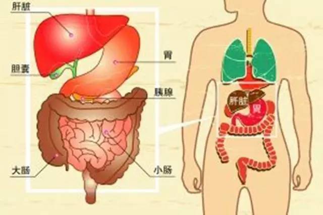 胃疼痛 对某些人,某些事不容纳,不服气,但又无奈,没办法.