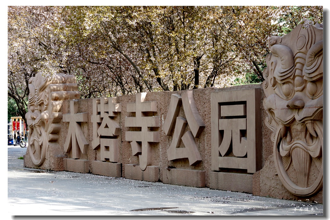 高新木塔寺遗址生态公园 满园春色花红柳绿