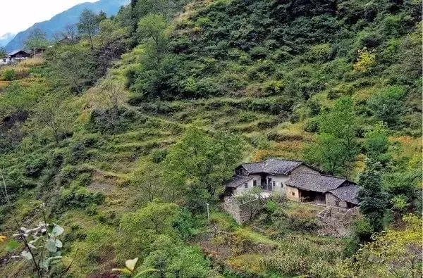 桐木人口是多少_台湾有多少人口