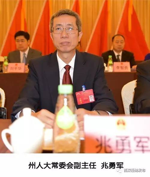 届人大常委会主任,张兴,李永义,权继能,李萍,洪国正,兆勇军当选副主任