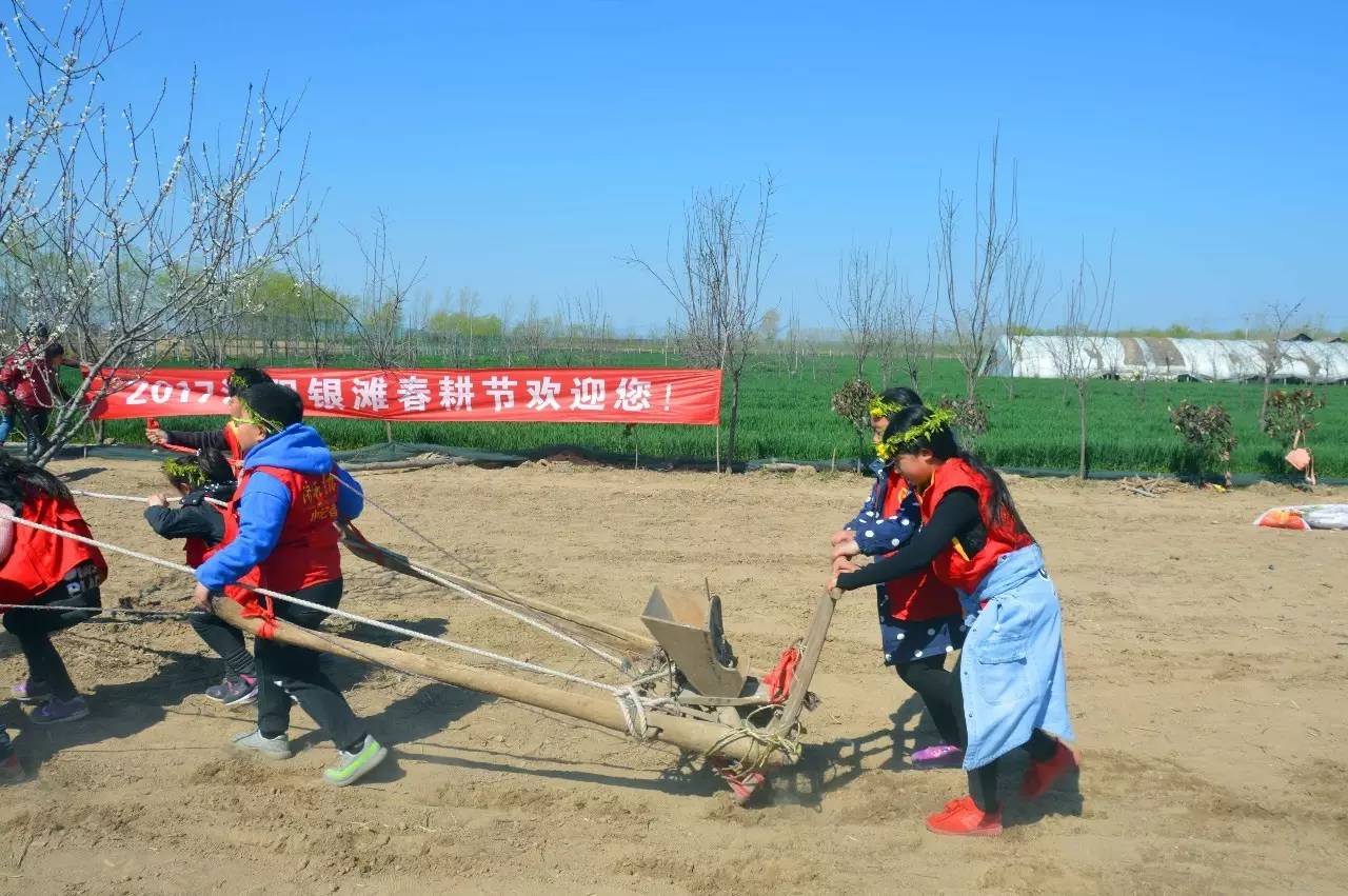 银滩春耕节济源晨报小记者农耕体验活动