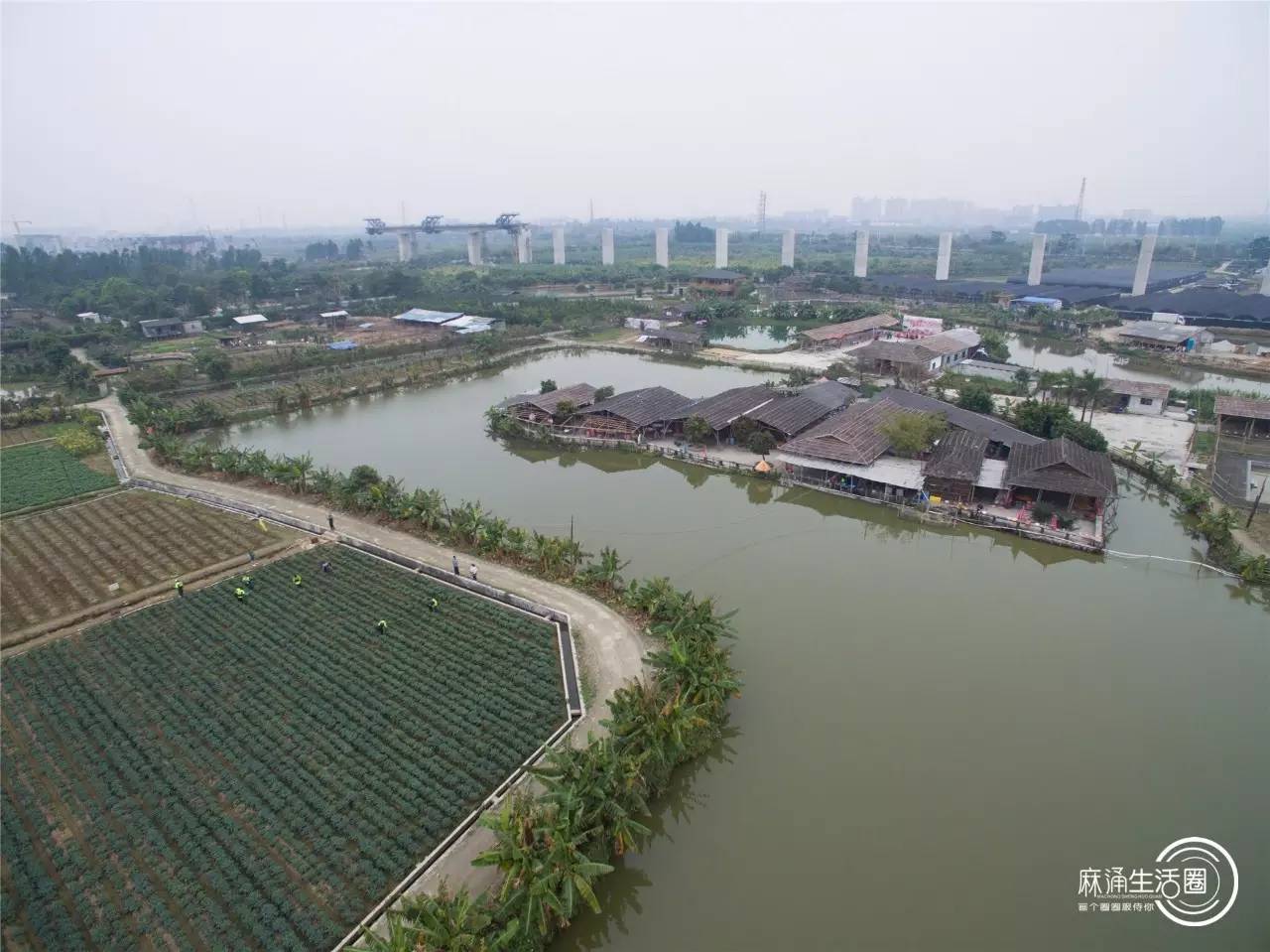 麻涌水乡开心农场_搜狐旅游_搜狐网