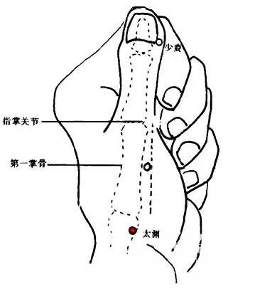 局部解剖:有桡动,静脉.分布着前臂外侧皮神经和桡神经浅