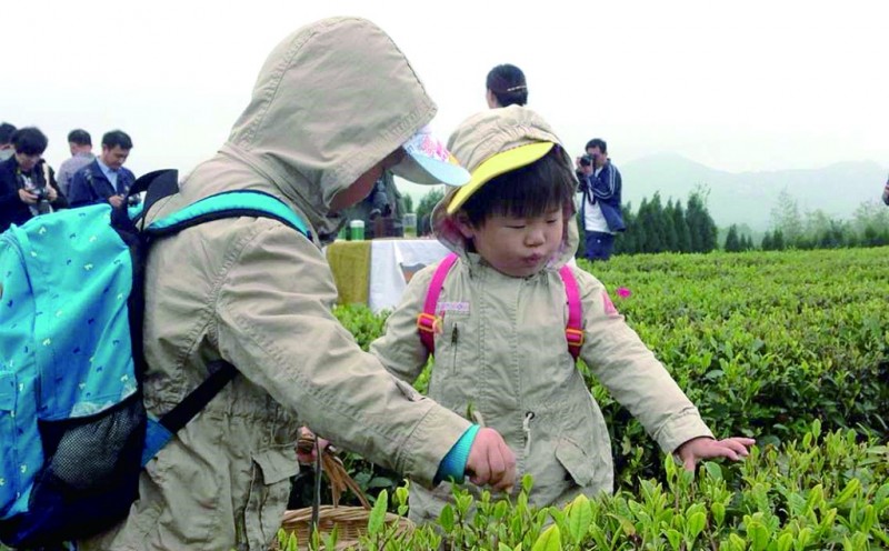 南宁人，你喝茶的姿势正确吗？