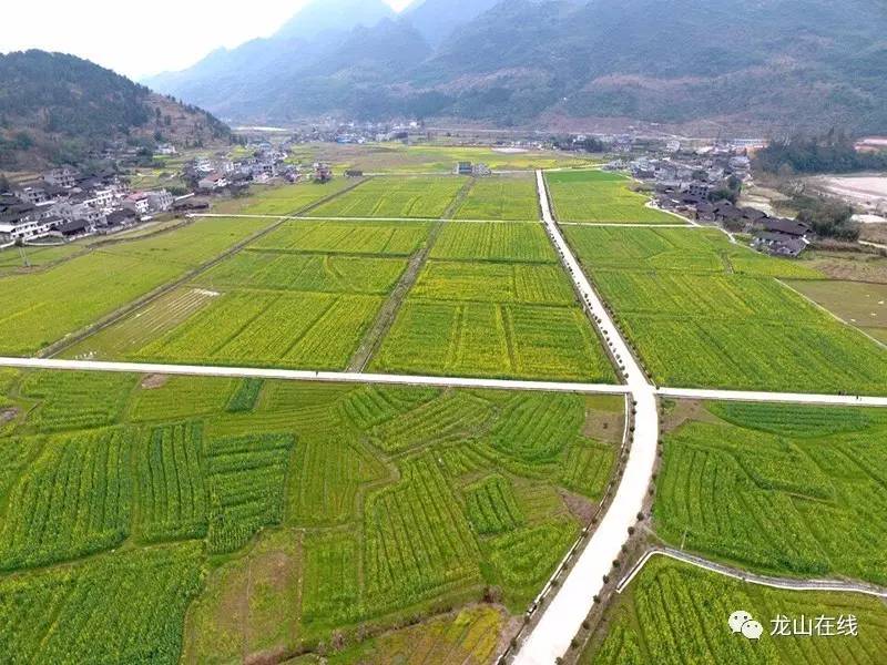 2017年4月2日 湖南湘西州龙山县惹巴拉景区开启第二届油菜花节 篝火