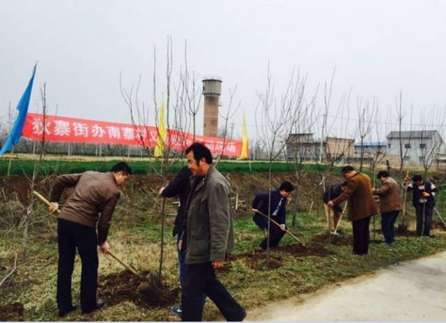 灞桥61e讯灞桥区狄寨街办掀起春季植树热潮推动美丽乡村建设