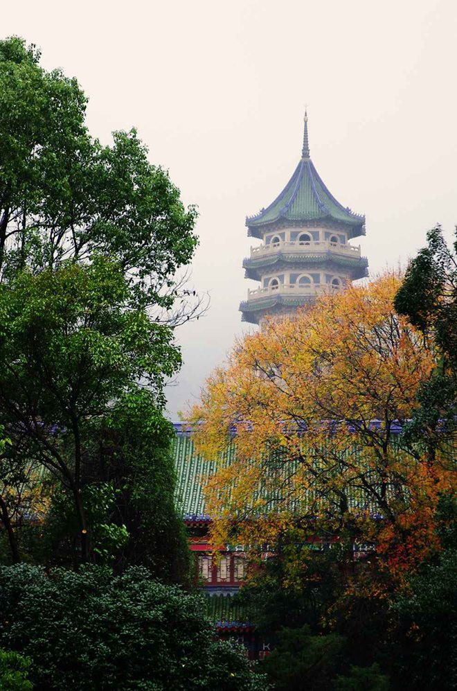 南朝四百八十寺,多少楼台烟雨中