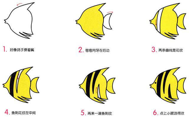 儿童简笔画:热带鱼海豚等十种海洋生物,详细教程