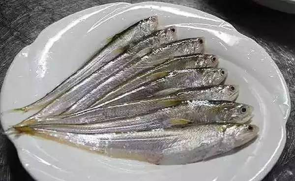 太湖梅鲚鱼属于陆封型的淡水鱼类,俗称湖刀.