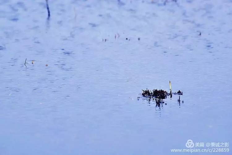 靖边县海则滩"千岛湖"湿地胜景图片