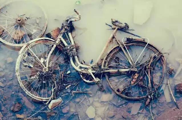 人生就像自行车 好的被人惦记 烂的没人要.