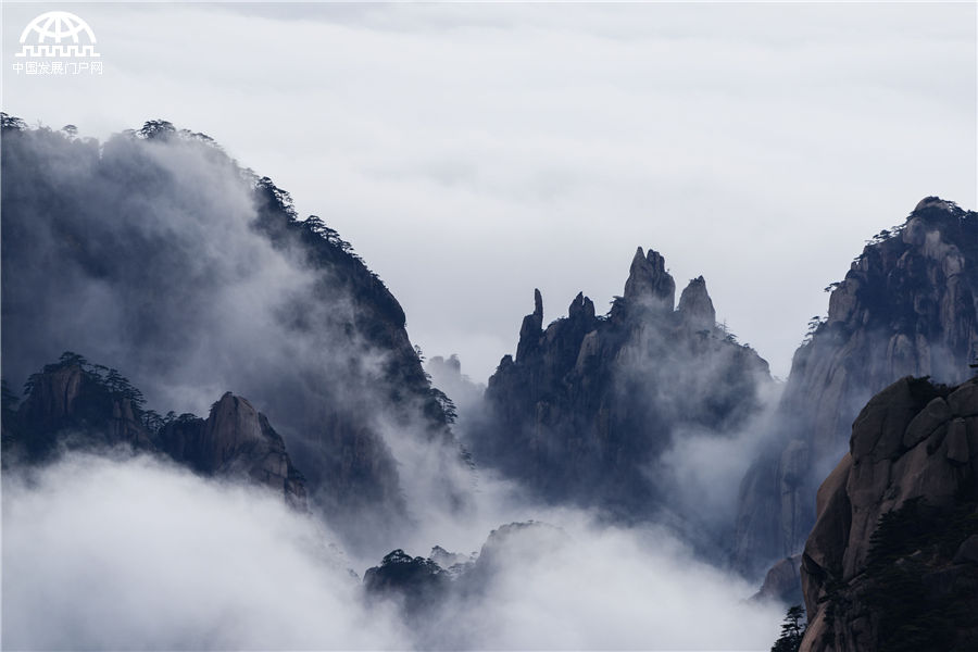 黄山雨后云舒云卷醉游人