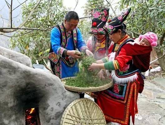 平武第四届绿茶文化节28日开幕~茶乡豆叩邀您来采茶!