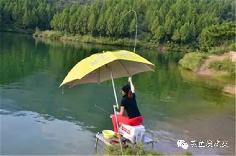 鲶鱼的原理_关于鲶鱼的基本知识 水族馆 鲶鱼 种类 新浪网(3)