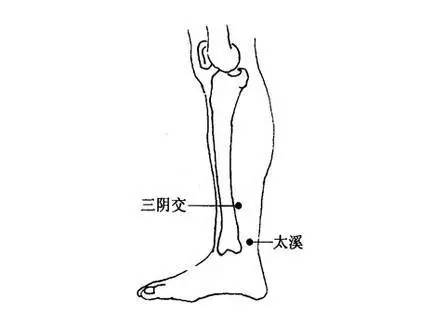 【国医·养生】中极——治疗泌尿疾病首选穴位