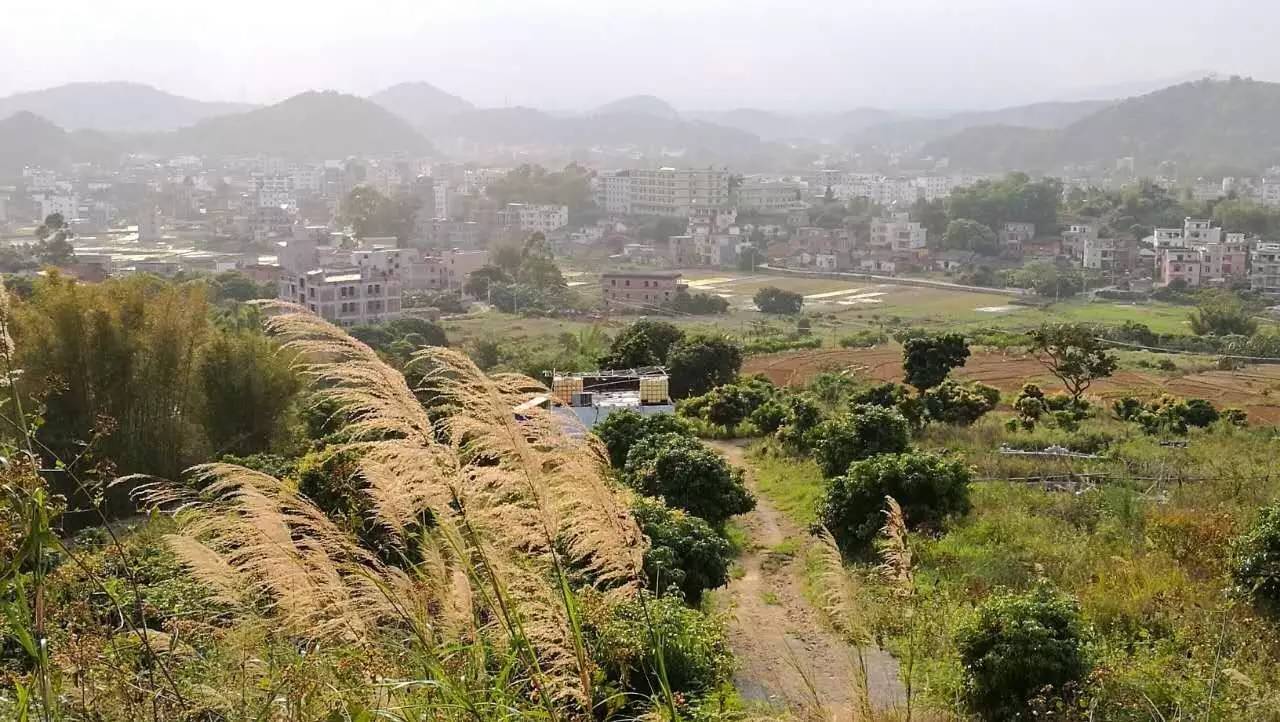 白石镇位于广东省云浮市云安区西北部,与镇安镇,高村镇接壤,与郁南县