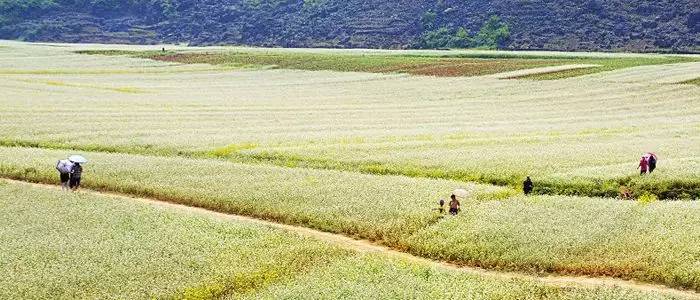 广西隆安屏山人口_广西隆安龙虎山风景区(2)