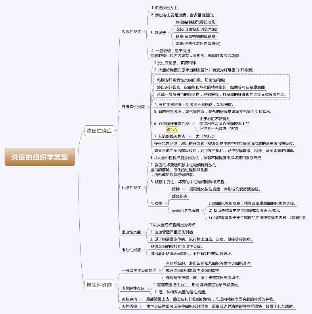 医学思维导图全套完整打印版(病理学)