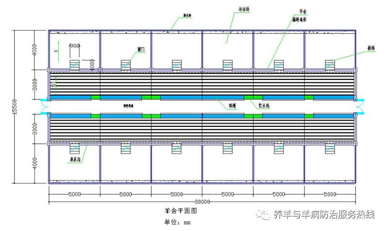 现代化羊舍,羊床设计图!