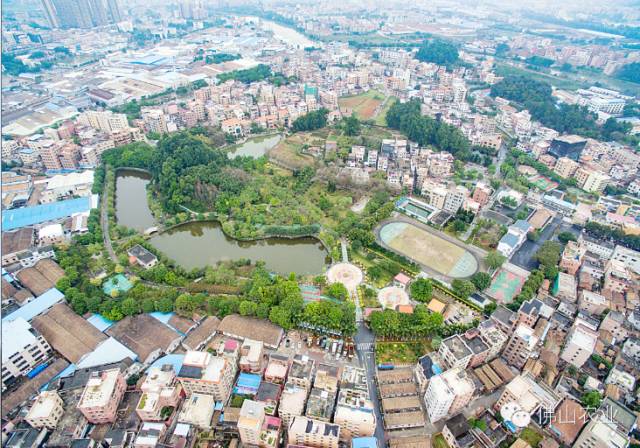 紫荆花大道,里水首个村级公园,就在河村!