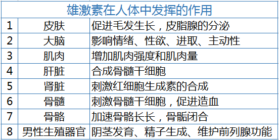 性功能退化直接影响家庭幸福指数,如何科学补充雄性激素?