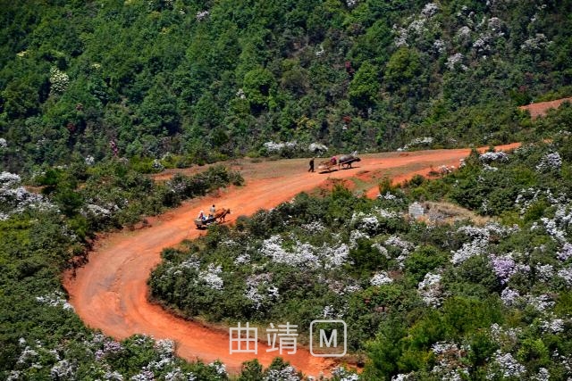 罗平马街 "五里箐" 等你来邂逅