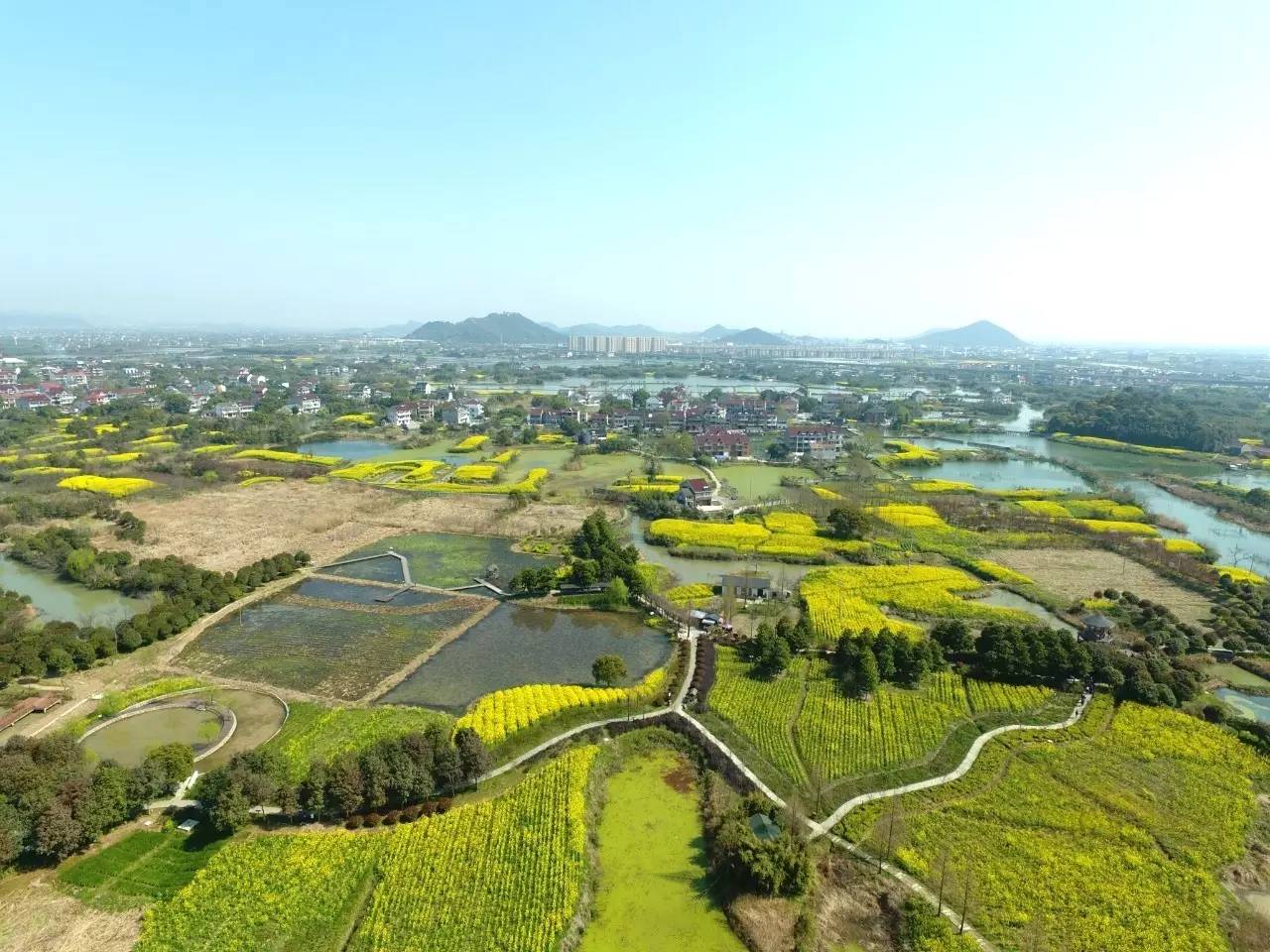 美过婺源!从空中看下渚湖,油菜花海美得不像话!