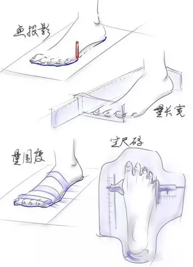 量维度,并要在脚外轮廓上标明测量位.(跖围最重要) 4.