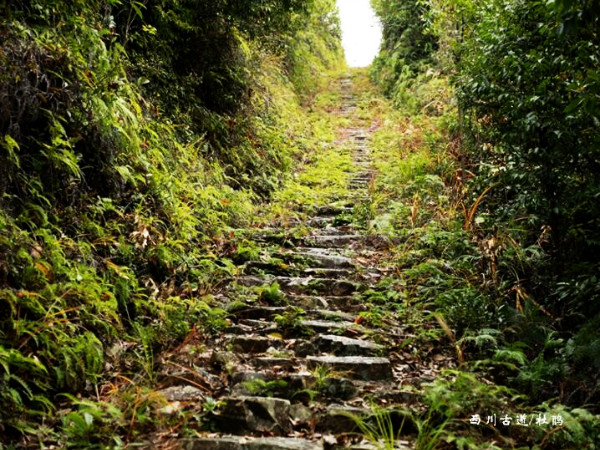 阜山古道