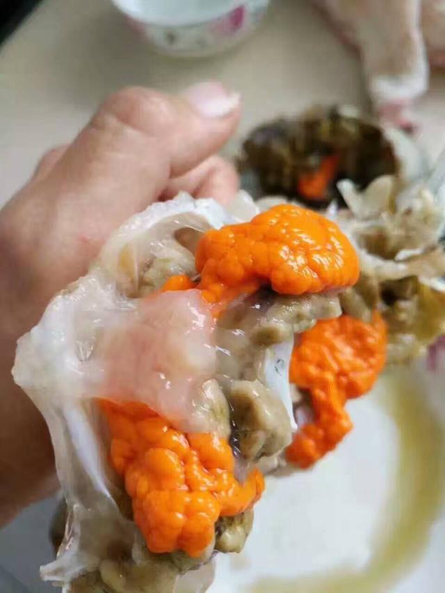 卖鱼郎家的海鲜:解读蟹中精品——红鲟