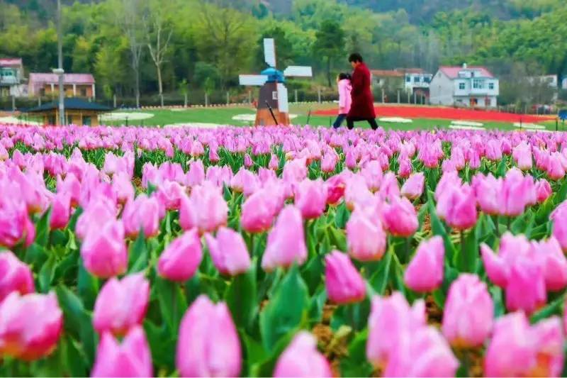 花千谷景区