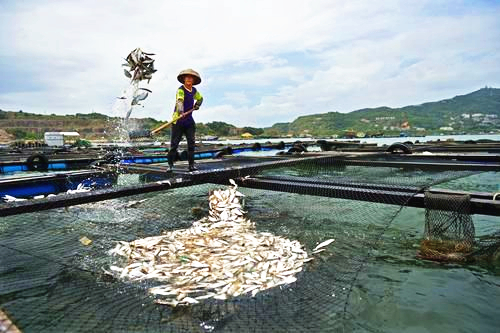 珠海市万山镇有常住人口多少_万山镇有多少人口