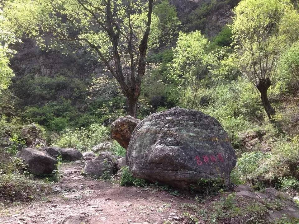 每日一村 ┃白玉沟村:青山绿水旁