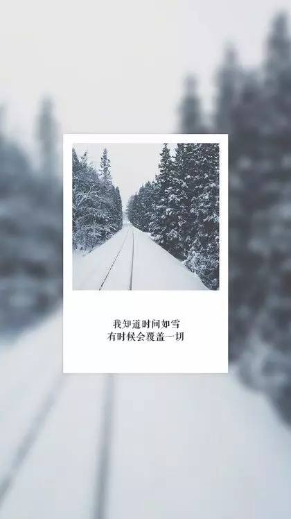 雪下的那么深爱得那么认真和雪有关的情话