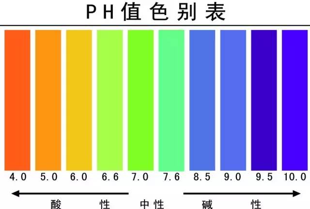 酸碱体质本身就是伪科学,没有一个部位能覆盖全身的一个酸碱度,身体