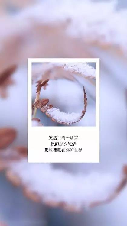 雪下的那么深爱得那么认真和雪有关的情话