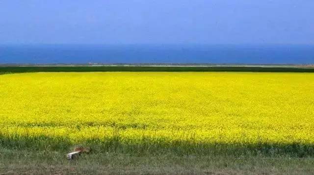 平县的人口土地面积_广东省人口和土地面积