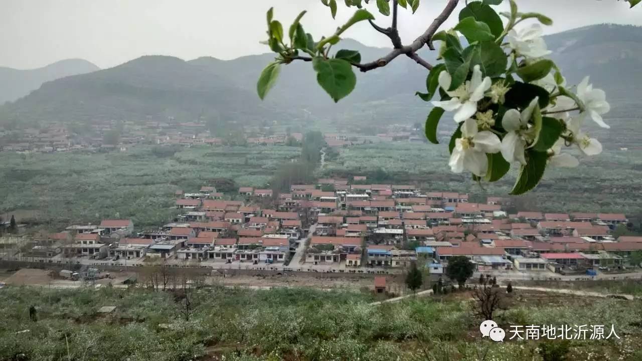 旅游 正文  4,看桃花 沂源桃花最有名,西里镇万亩桃园,鲁村镇桃花岛